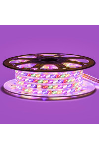 Led лента Multi-Color 220В smd2835 180LED/m 10W IP65 , 1м